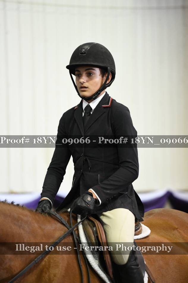 Proof 18YN_09066