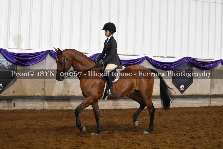 Proof 18YN_09067