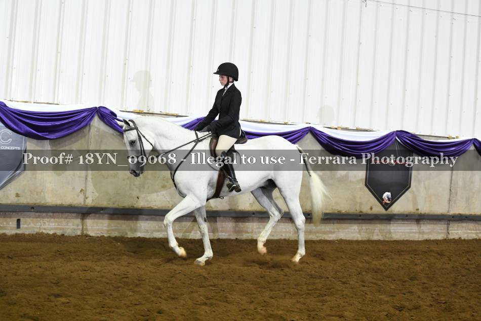 Proof 18YN_09068