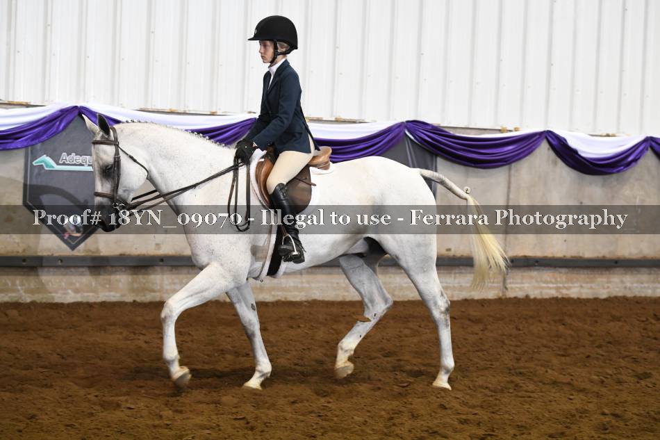 Proof 18YN_09070