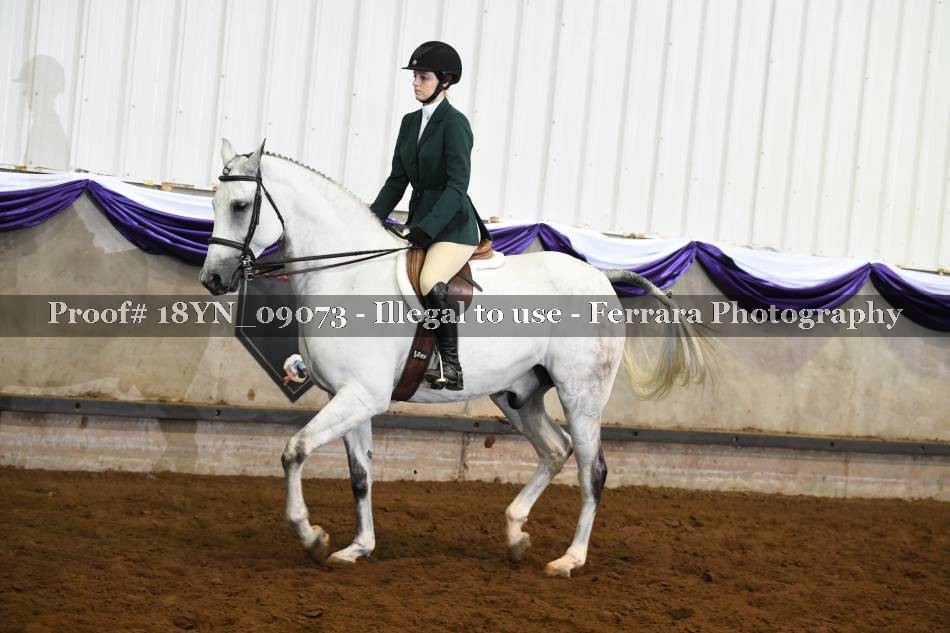 Proof 18YN_09073
