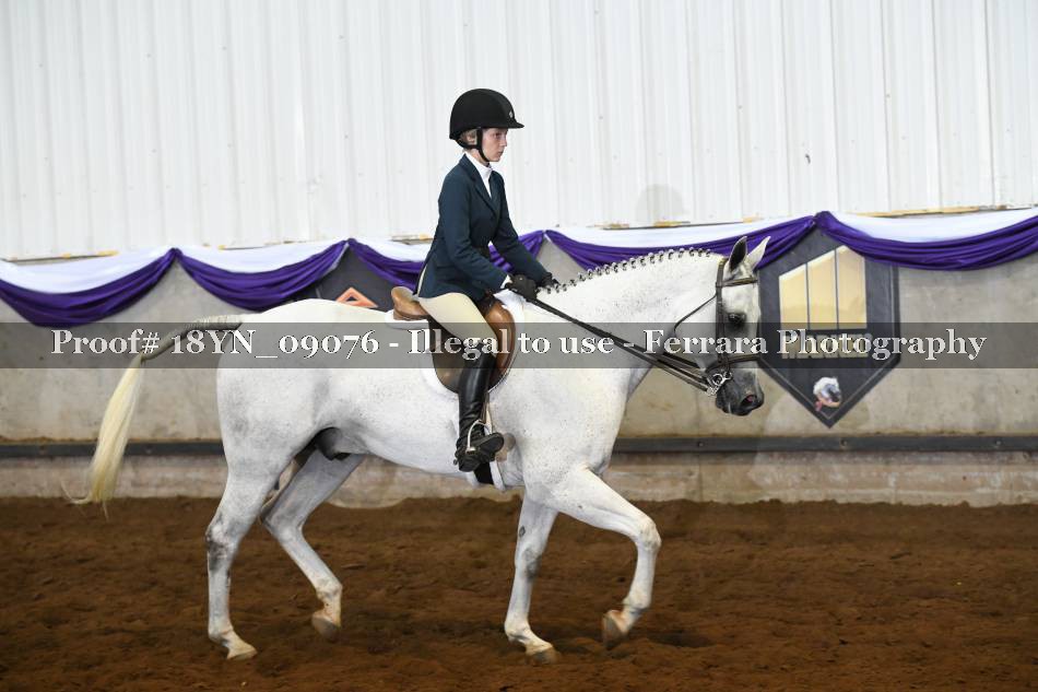 Proof 18YN_09076