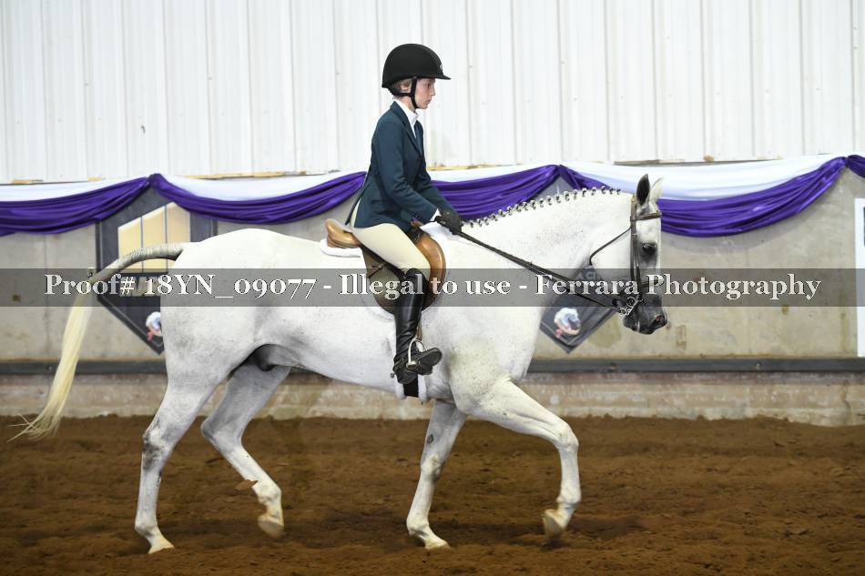 Proof 18YN_09077