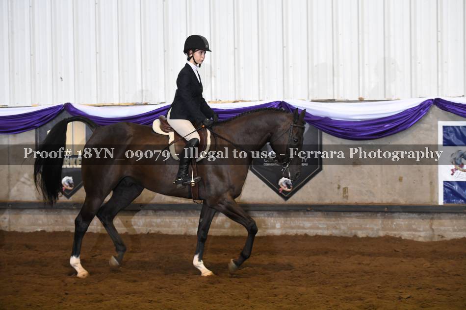 Proof 18YN_09079