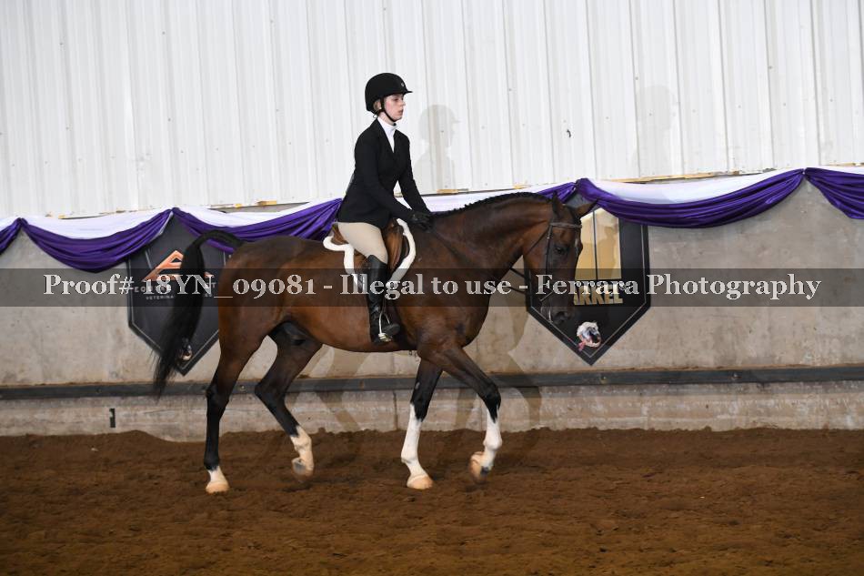 Proof 18YN_09081