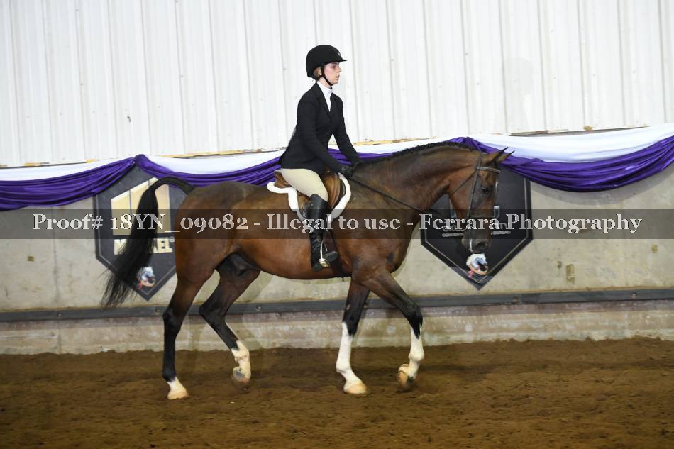 Proof 18YN_09082