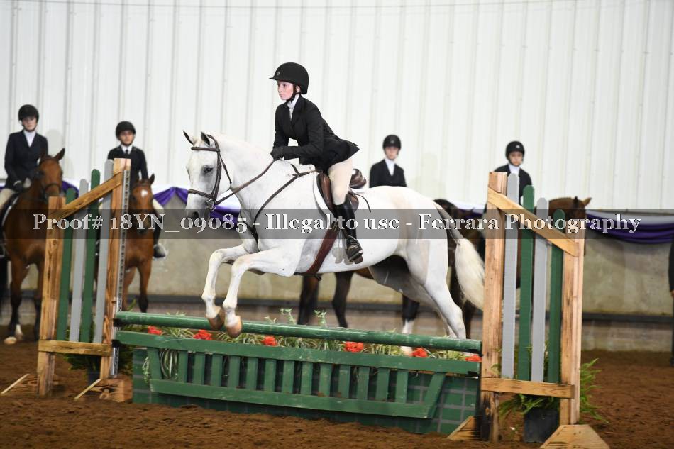 Proof 18YN_09085