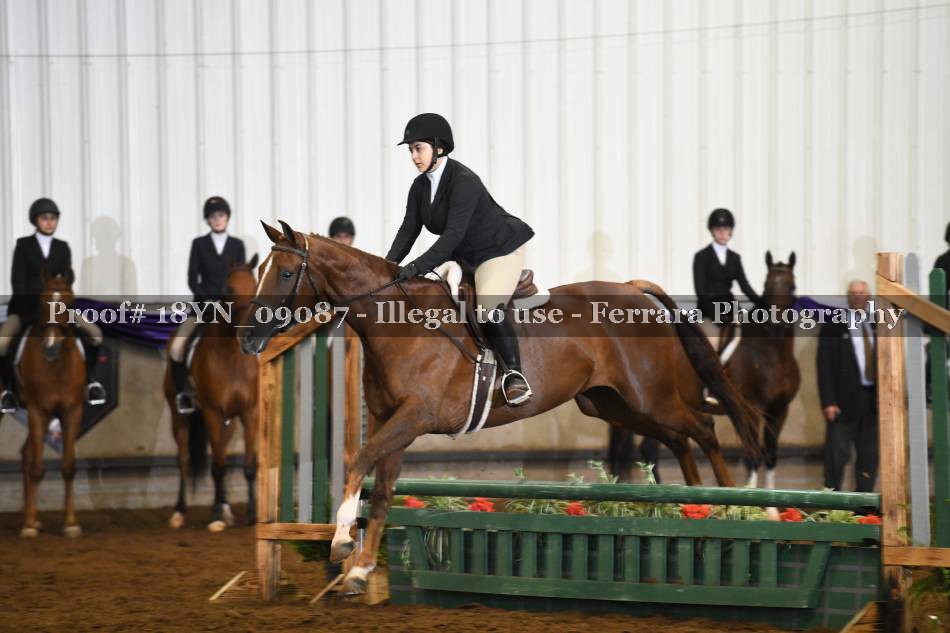 Proof 18YN_09087