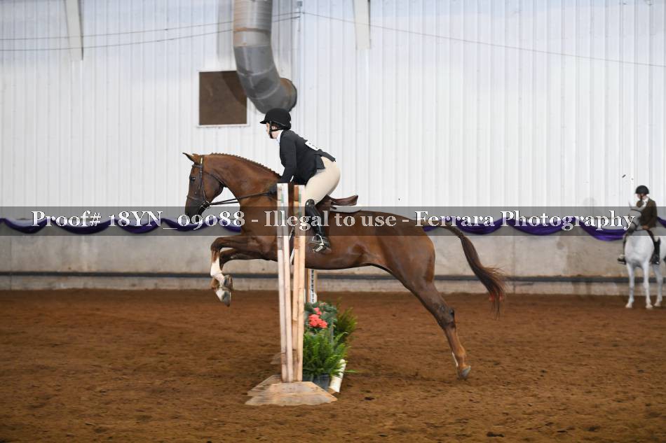Proof 18YN_09088