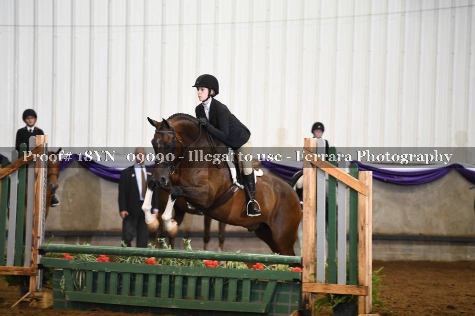 Proof 18YN_09090