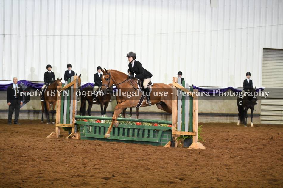 Proof 18YN_09096