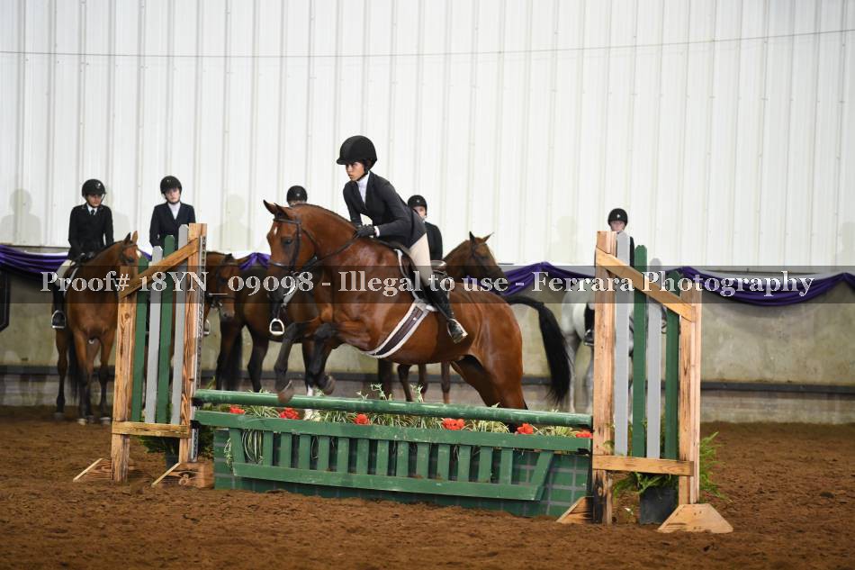 Proof 18YN_09098