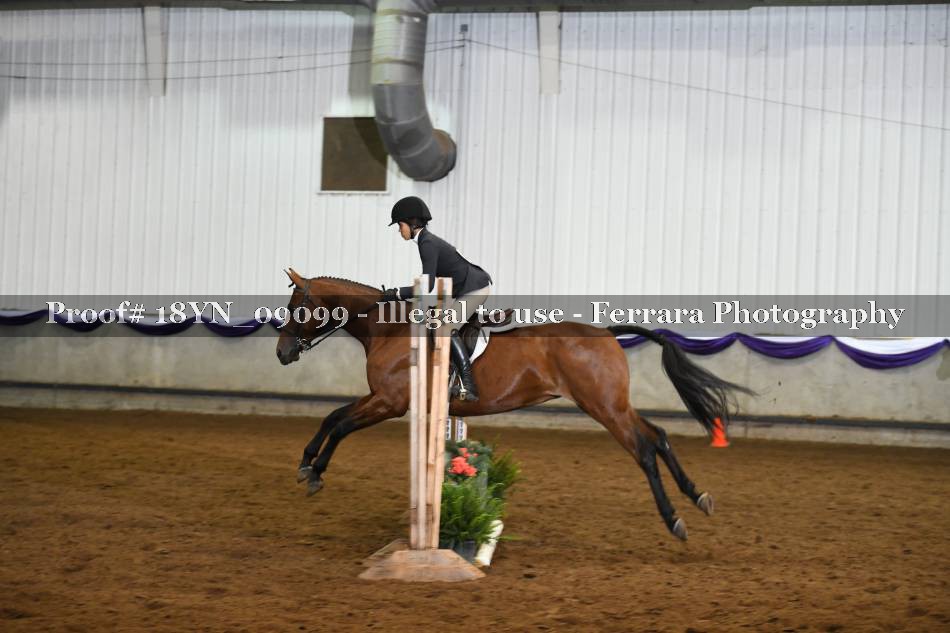 Proof 18YN_09099