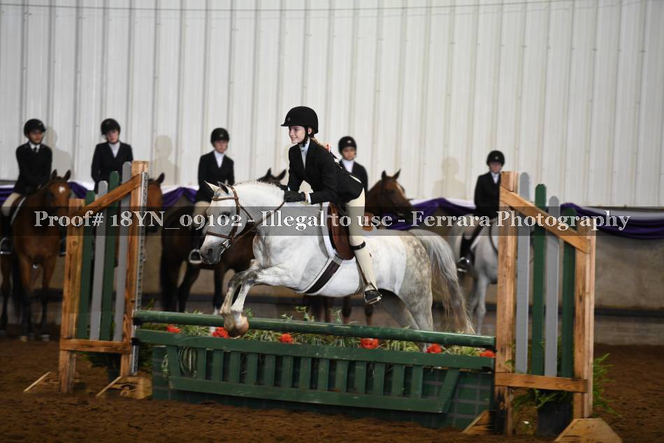 Proof 18YN_09102