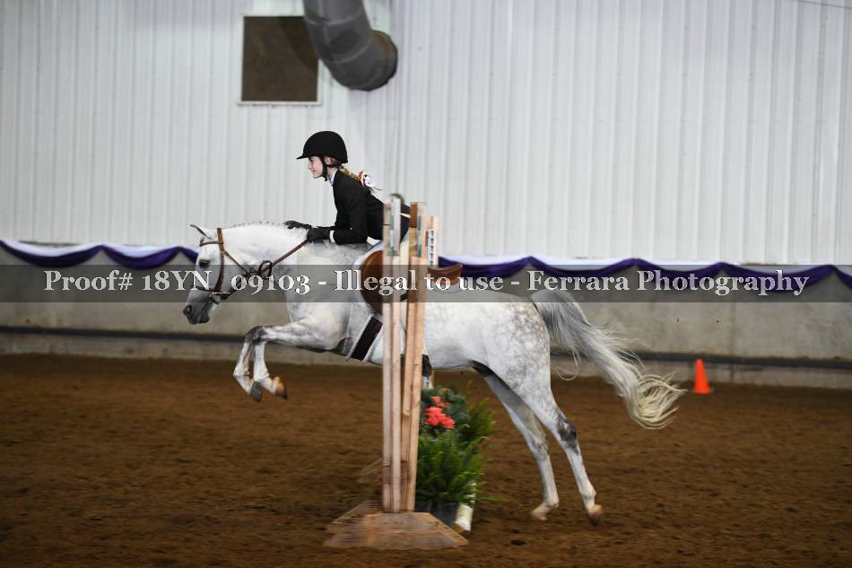 Proof 18YN_09103