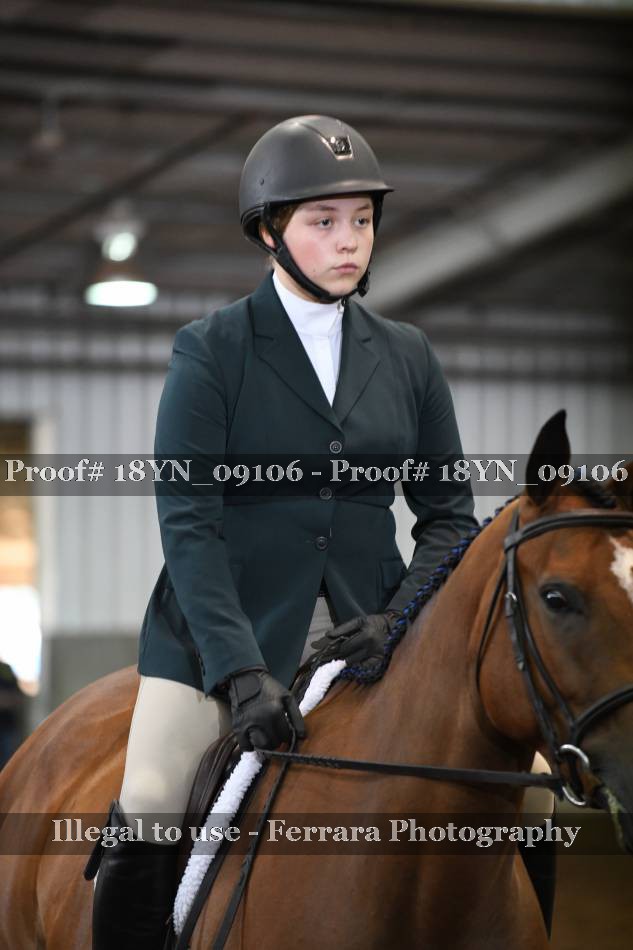 Proof 18YN_09106