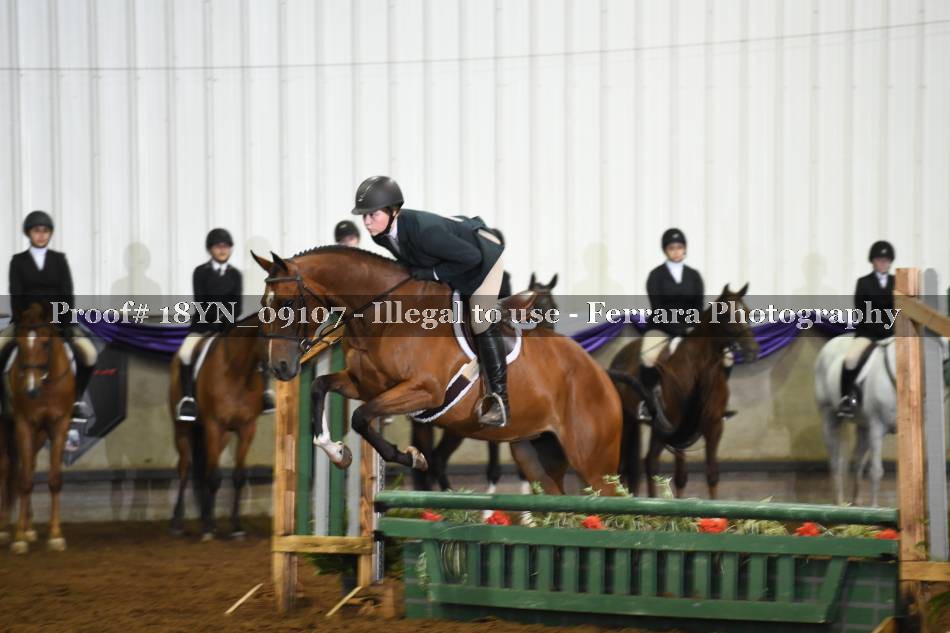 Proof 18YN_09107