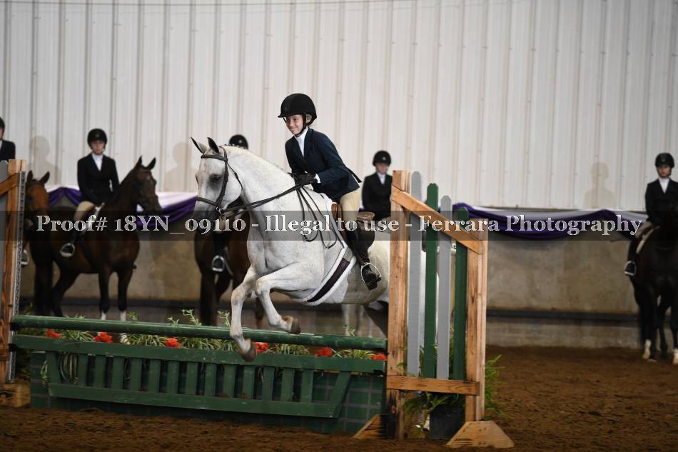 Proof 18YN_09110