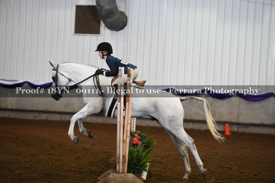 Proof 18YN_09111