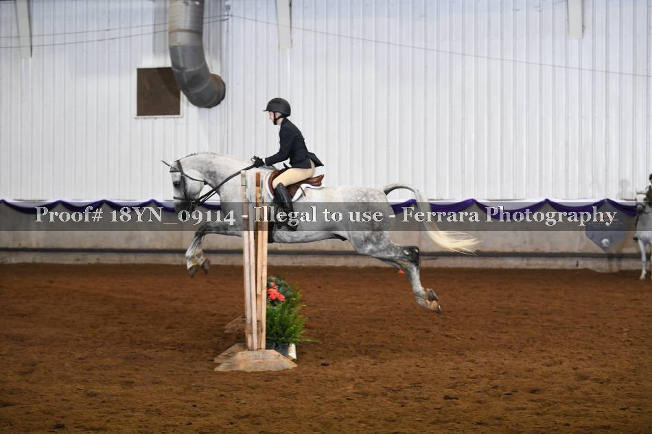 Proof 18YN_09114