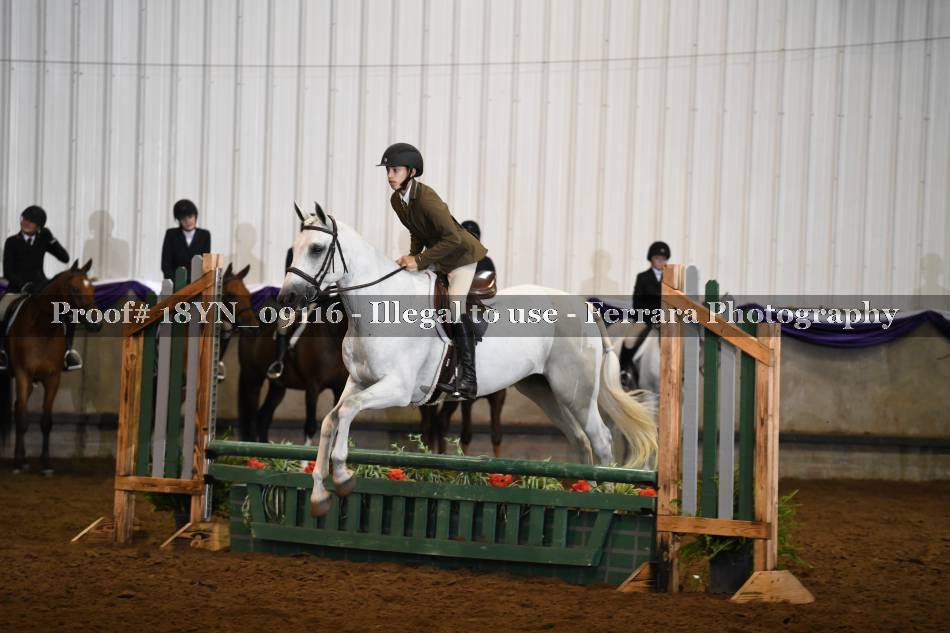 Proof 18YN_09116