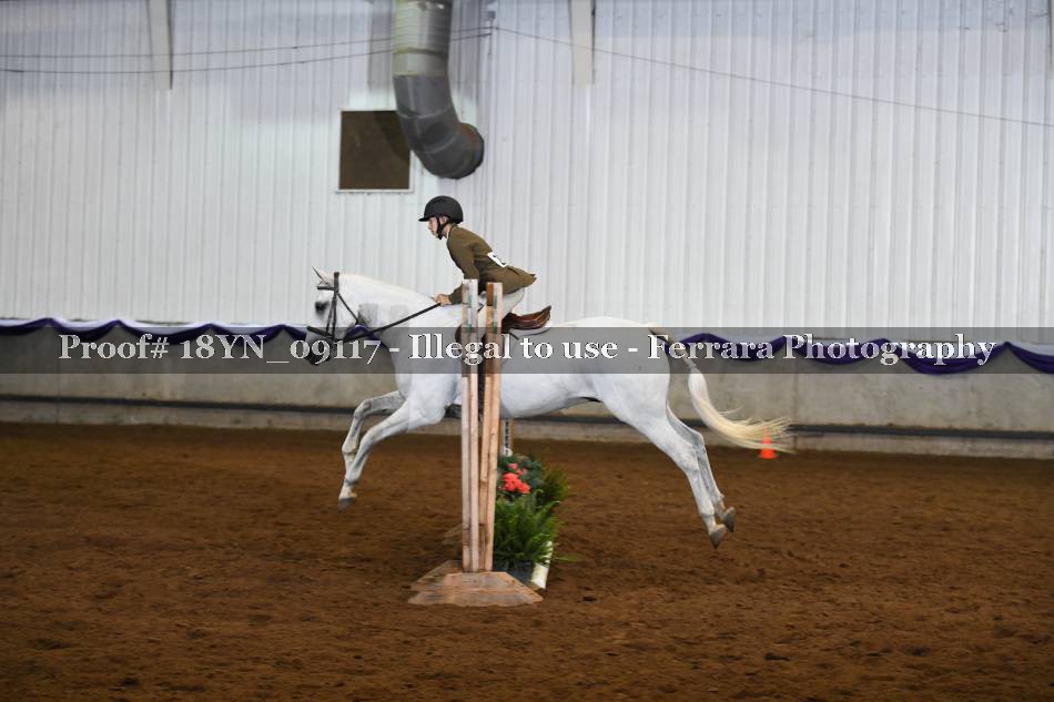 Proof 18YN_09117