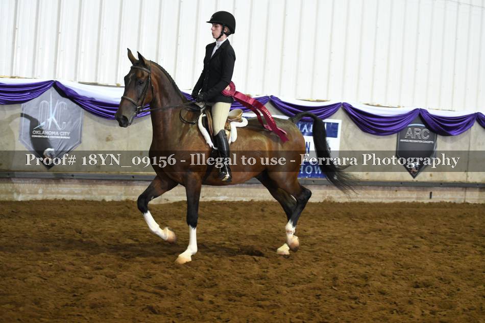 Proof 18YN_09156