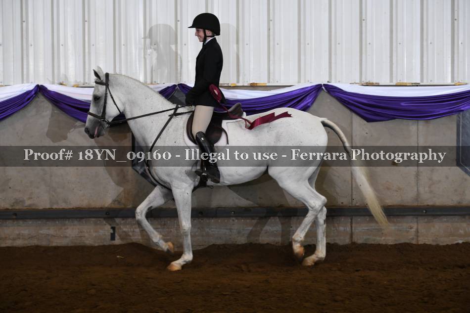Proof 18YN_09160