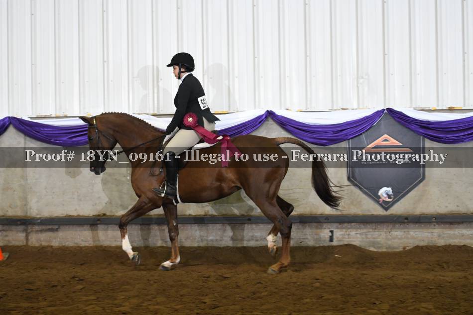 Proof 18YN_09161