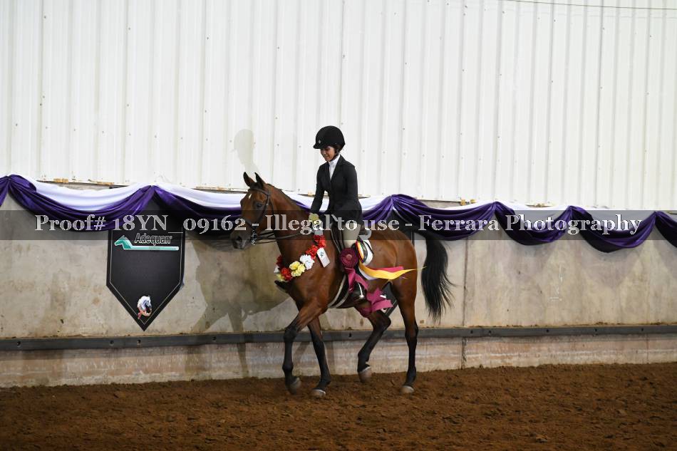 Proof 18YN_09162