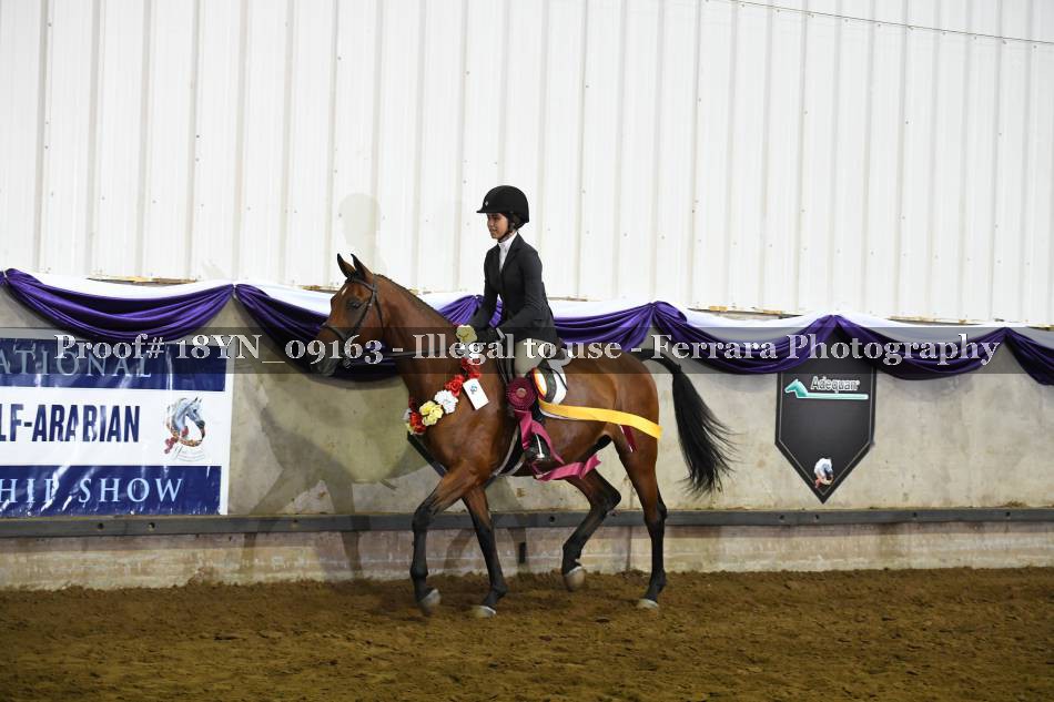 Proof 18YN_09163