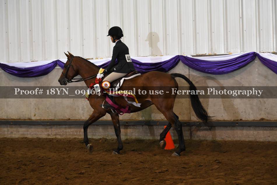 Proof 18YN_09164