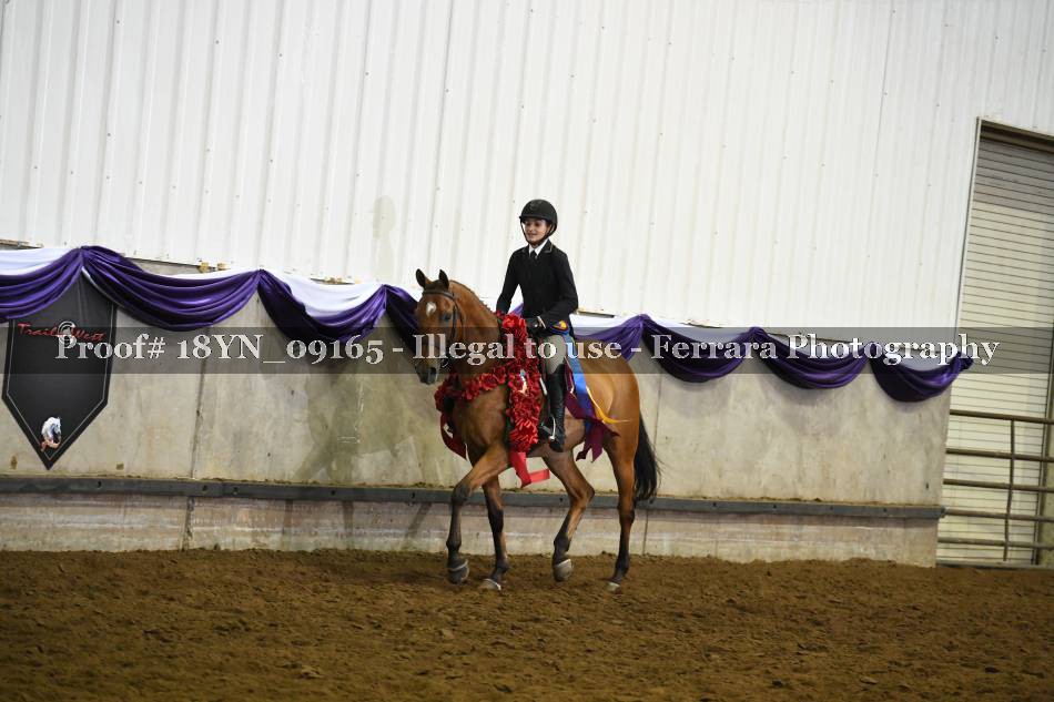 Proof 18YN_09165