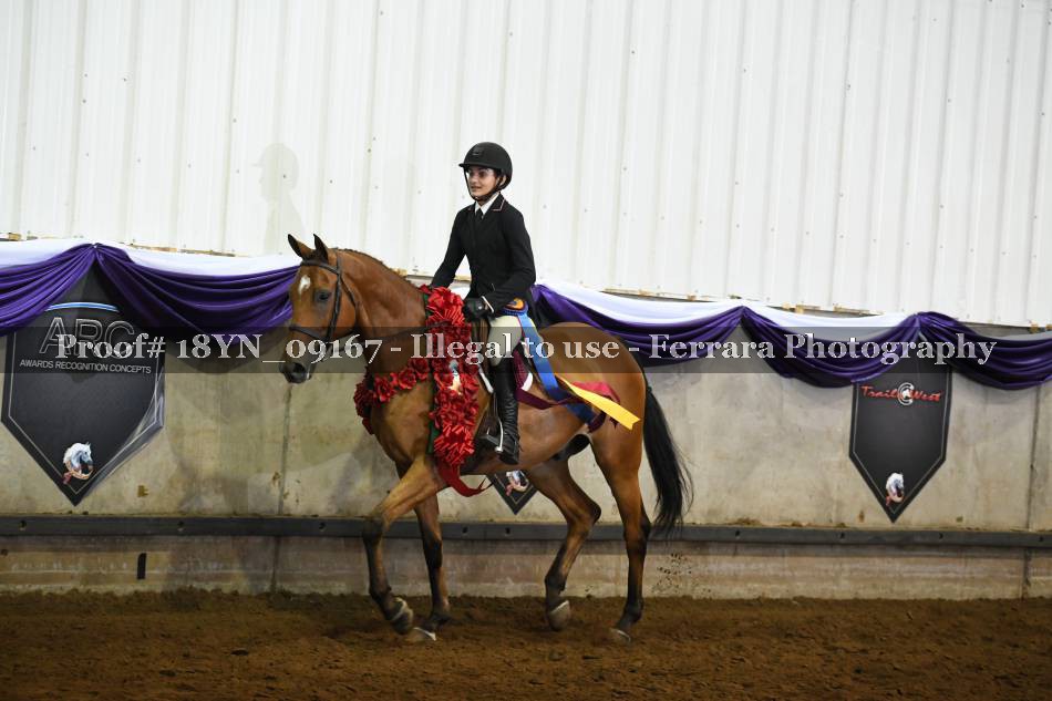 Proof 18YN_09167