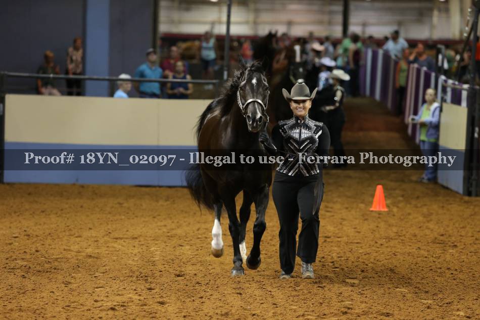 Proof 18YN_02097