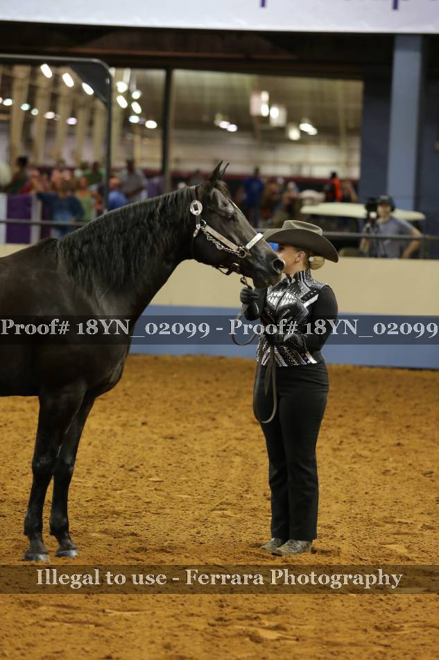 Proof 18YN_02099