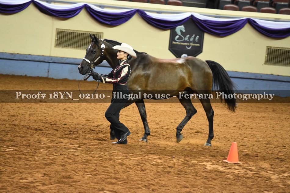 Proof 18YN_02110