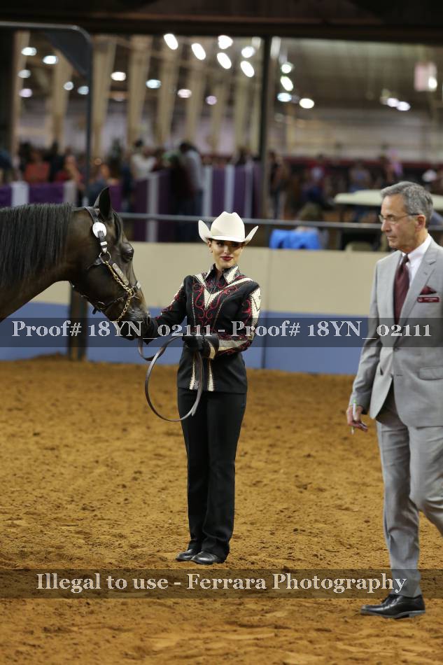 Proof 18YN_02111