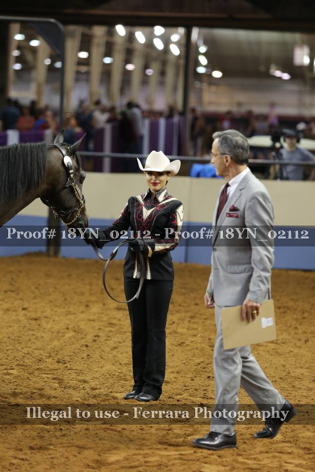 Proof 18YN_02112