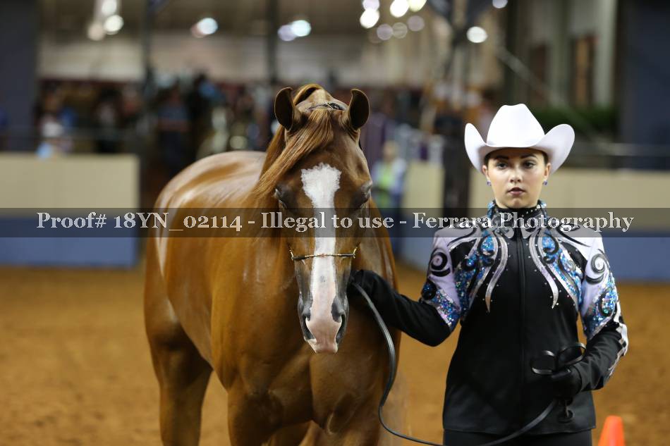 Proof 18YN_02114