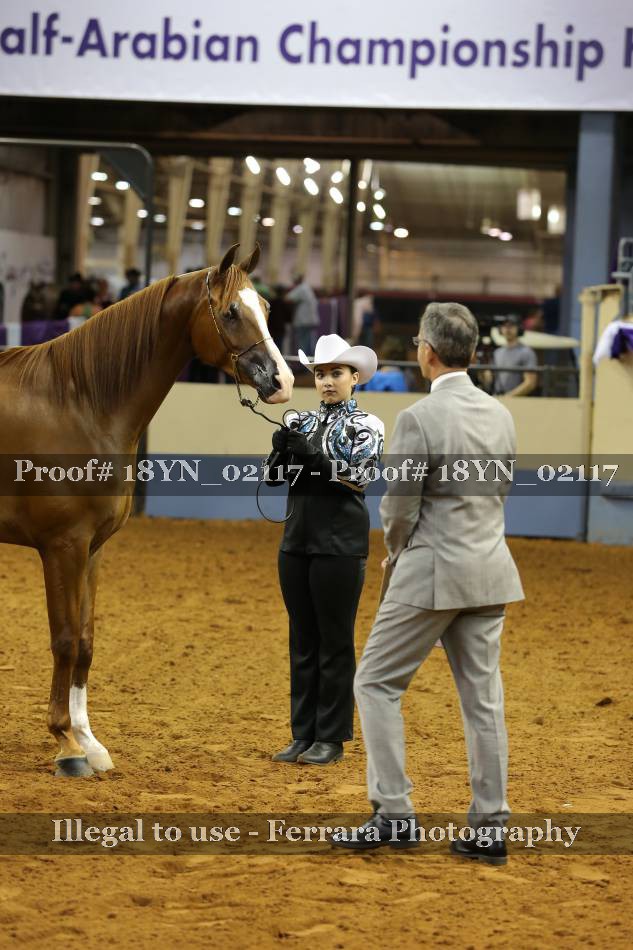 Proof 18YN_02117