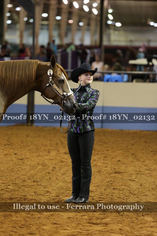 Proof 18YN_02132
