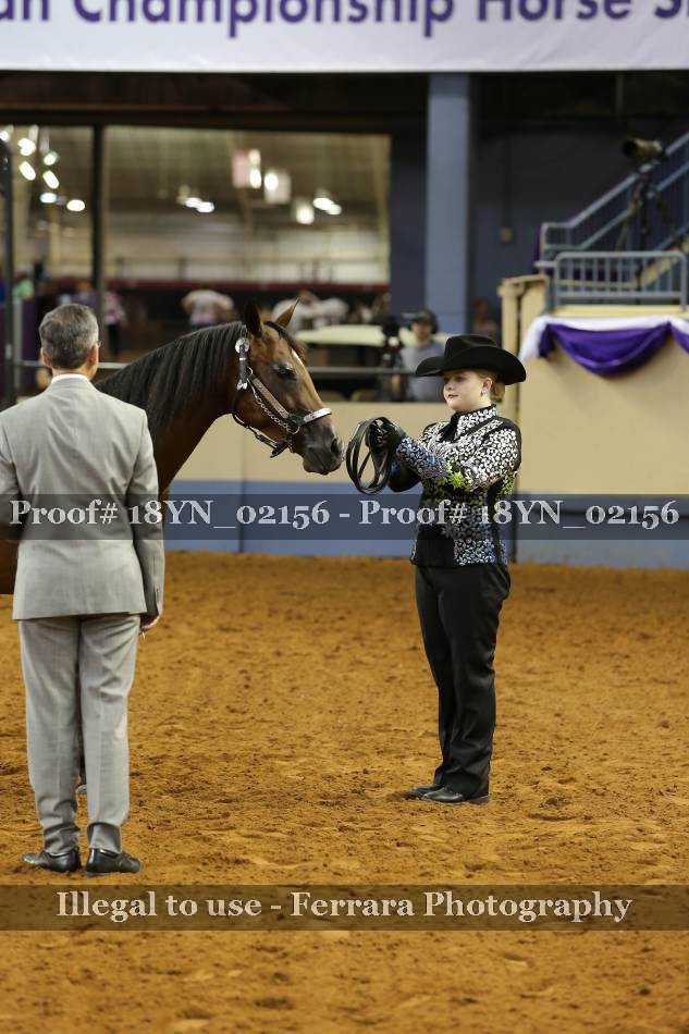 Proof 18YN_02156