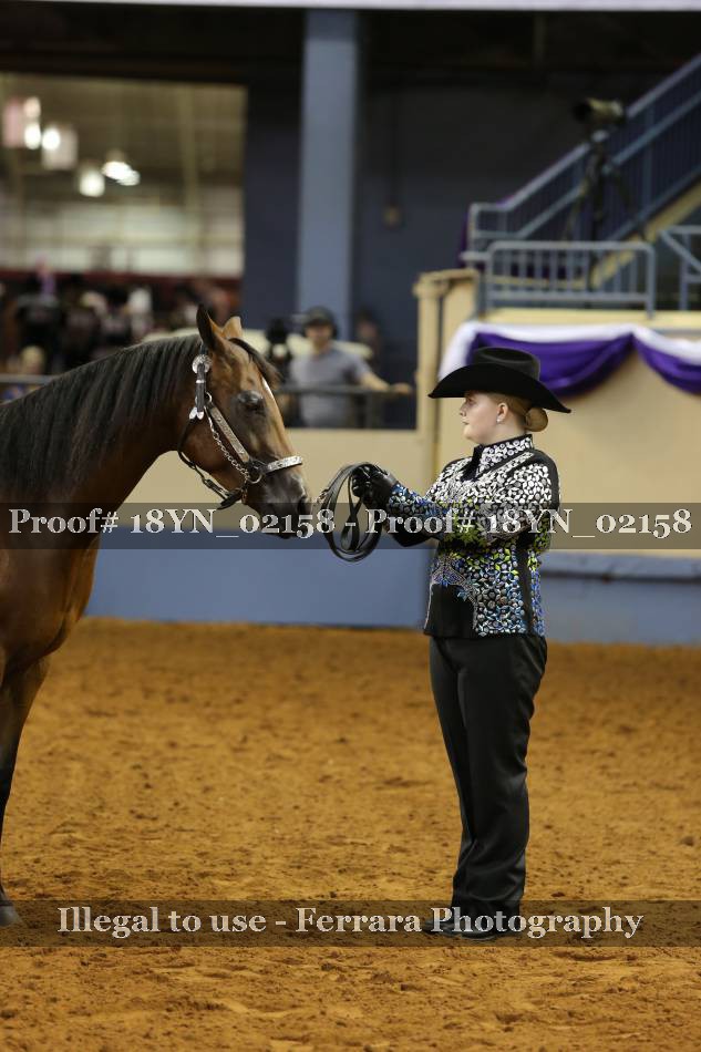 Proof 18YN_02158