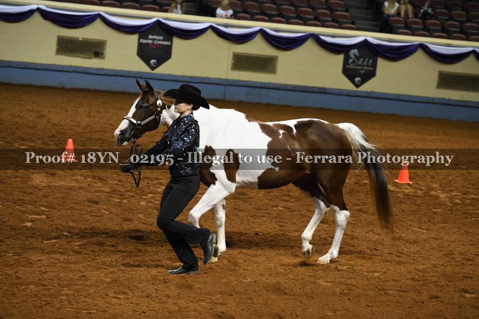 Proof 18YN_02195