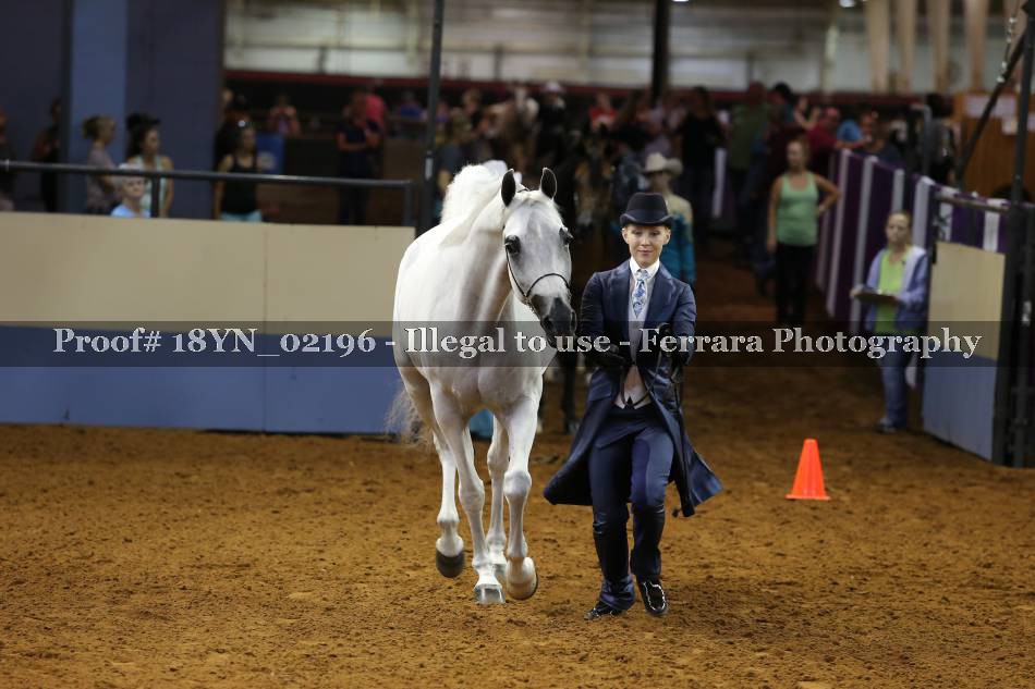 Proof 18YN_02196