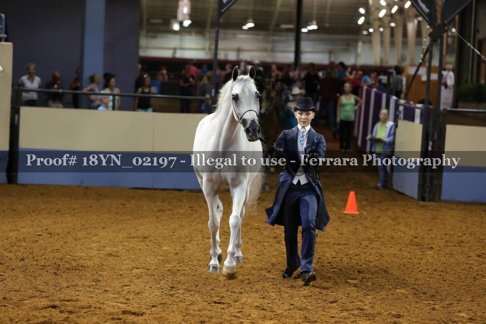 Proof 18YN_02197