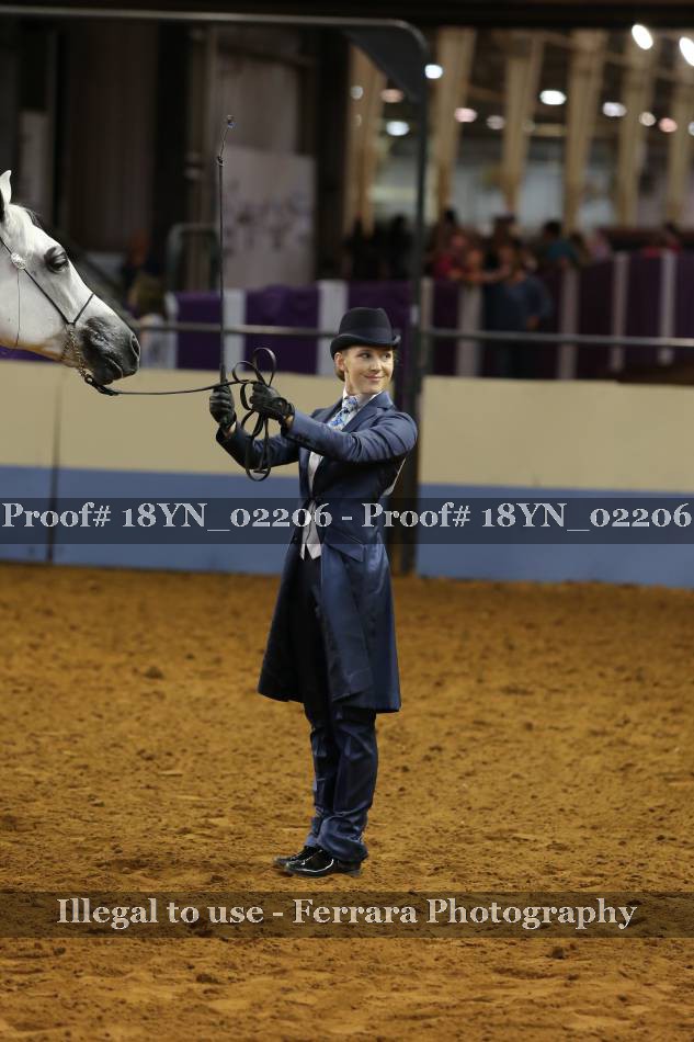 Proof 18YN_02206