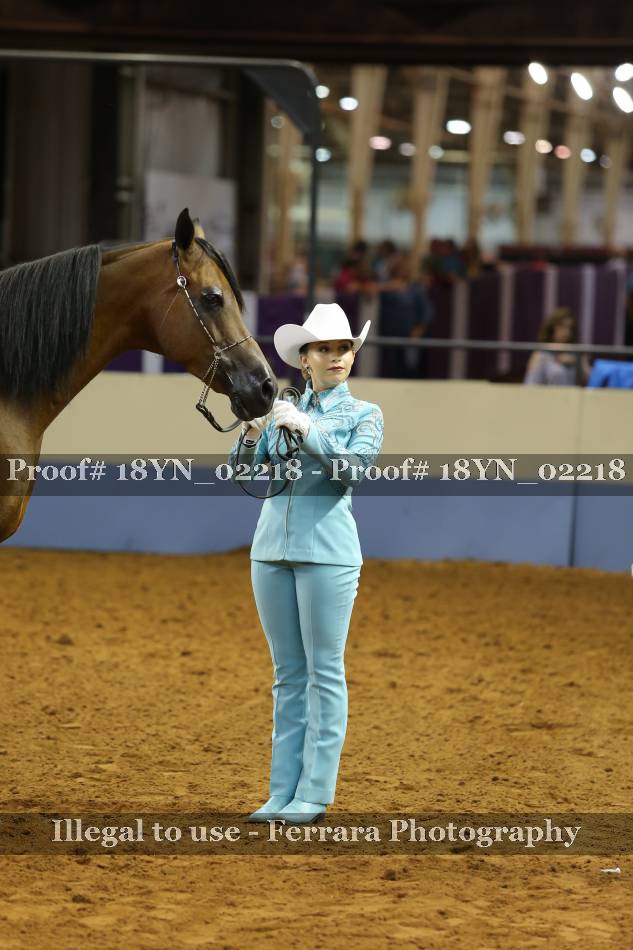 Proof 18YN_02218