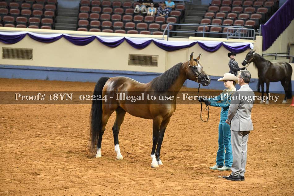 Proof 18YN_02224